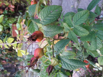 20151002_074254.jpg