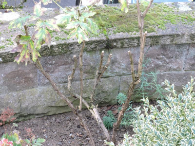 DSCN2380.JPG