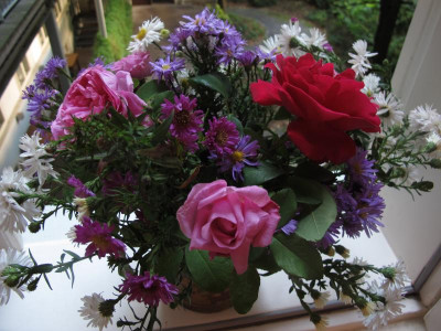 asternrosenokt.img15.JPG