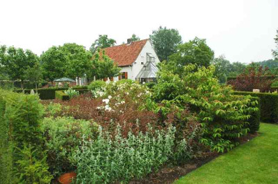 Baeke_Hertsberge__4_25-06-2006.jpg
