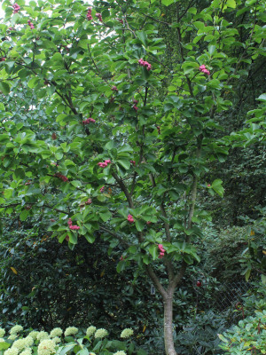 IMG_&754.jpg