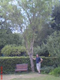 DSC00084.JPG