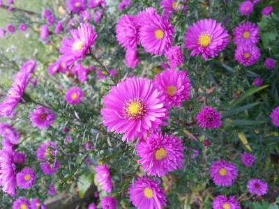 20151006_083039.jpg