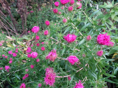 20151006_083333.jpg
