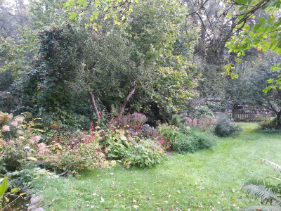 20151006_092327.jpg