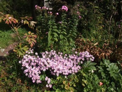 DSCF2557.JPG