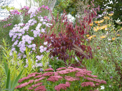 2015-10-06 Gartenimpressionen 2.jpg