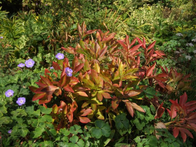 DSCF2565.JPG