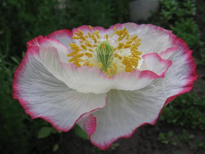 23.05.06.jpg
