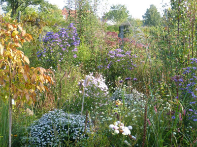 2015-10-04 Gartenimpressionen 1.jpg