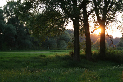 Sonnenuntergang-Donau-1.jpg