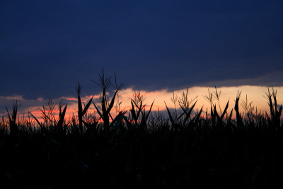 Sonnenuntergang-Donau-4.jpg