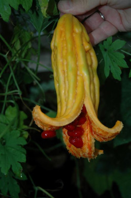 A0621_Large.JPG