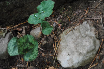 september 098.jpg