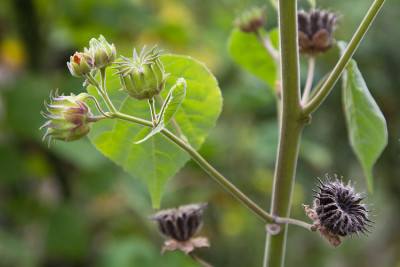 wasistdas_20151009-2_min.jpg