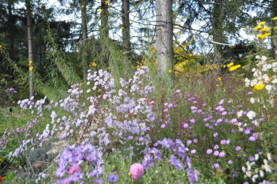 DSC_0106.JPG