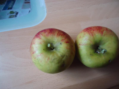Äpfel 001.JPG