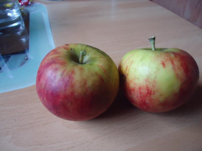 Äpfel 002.JPG