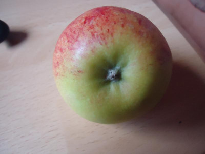 Äpfel 004.JPG