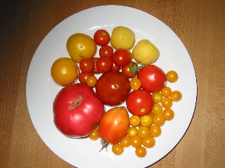 IMG_0107_Kleine_Webansicht.jpg