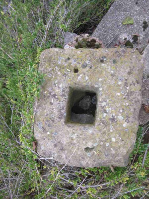 stein S feld.jpg