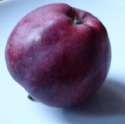 apfel1.jpg