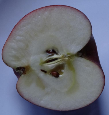 apfel2.jpg