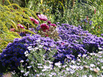 2015-10-11 Gartenimpressionen 1.jpg
