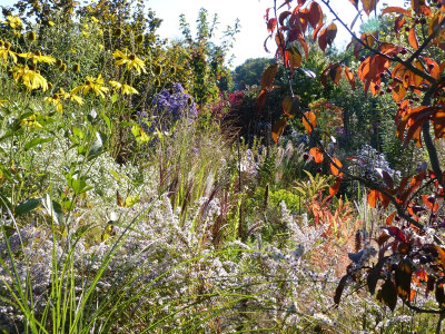 2015-10-11 Gartenimpressionen 8.jpg