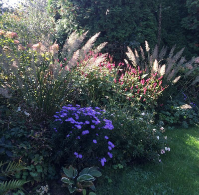 11102015 garten 3.jpg