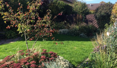 11102015 garten 1.jpg