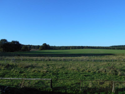Schafwiese11_10_15.JPG