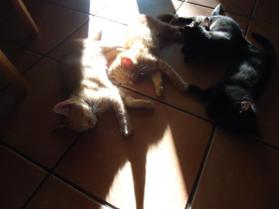 diverse unsortiert 028.JPG