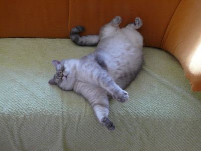 chillen_2_2015-10-11_248.jpg