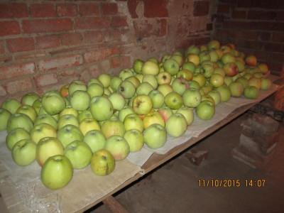 Maibiers Parmäne 011.jpg
