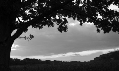 SW--Scherenschnitt-1.jpg