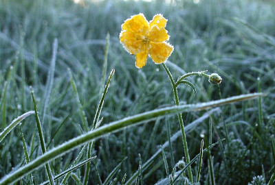 frühmorgens.jpg
