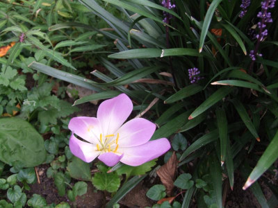 DSCF2581.JPG