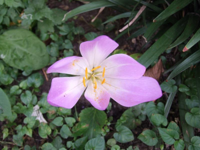 DSCF2583.JPG