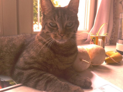 20120611_103832.jpg