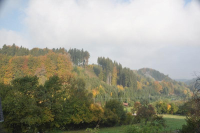 DSC_0004.JPG