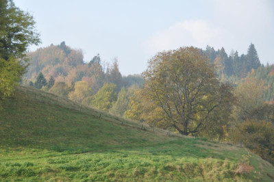 DSC_0005.JPG