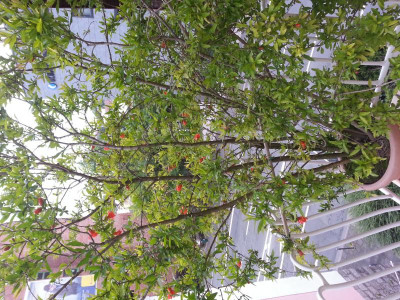 20150707_195321.jpg