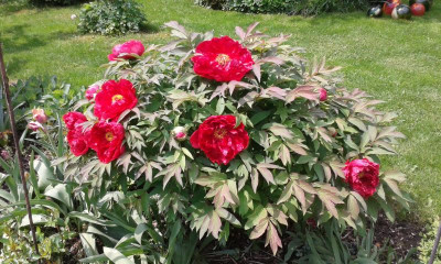 20150521_122301.jpg