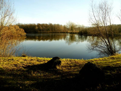 DSCI0007.JPG
