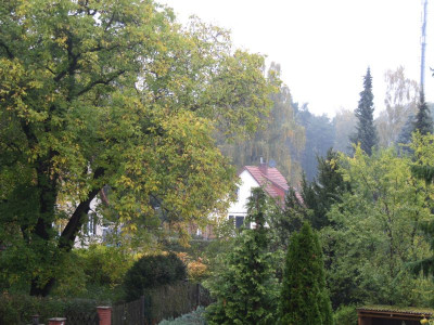 Zuhause 2 151017.jpg
