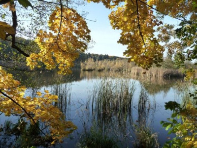 Inselblick01.jpg