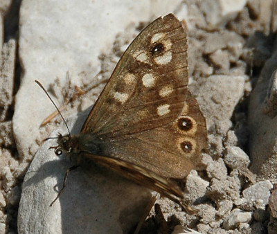 DSC_0119.jpg