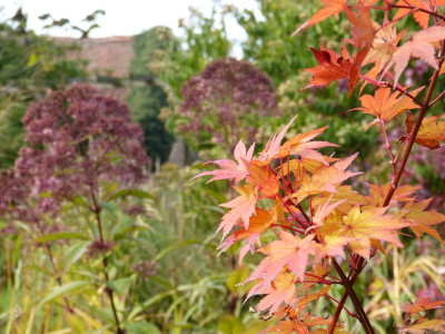 2015-10-18 Gartenimpressionen 7.jpg