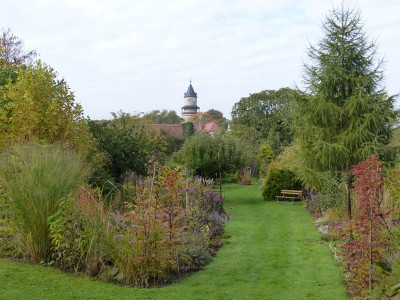 2015-10-18 Garteneinblick 1.jpg